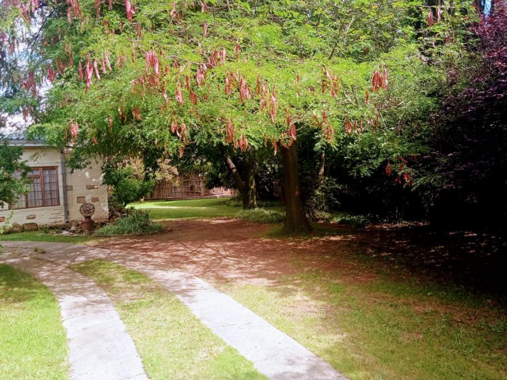 Rheola'S Guest Cottage 哈里史密斯 外观 照片